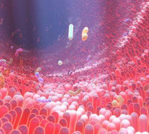 Microbiota Intestinale
