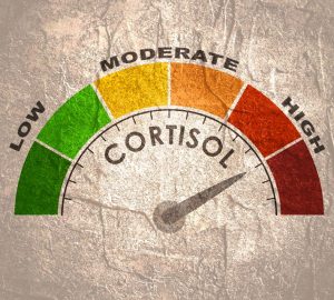 cortisolo