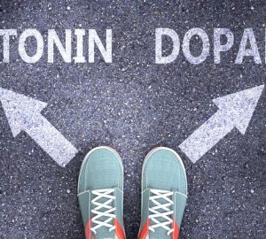 Dopamina e Serotonina