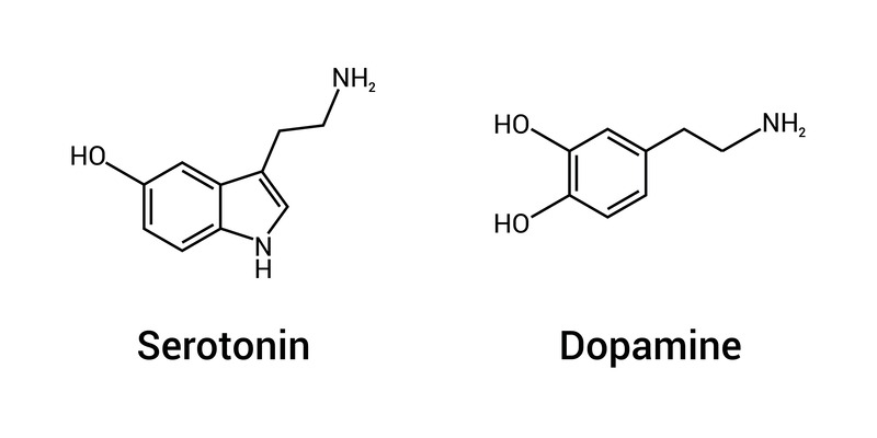 Dopamina e Serotonina differenze