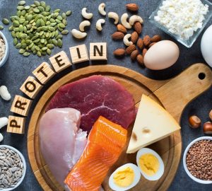 proteine animali e vegetali