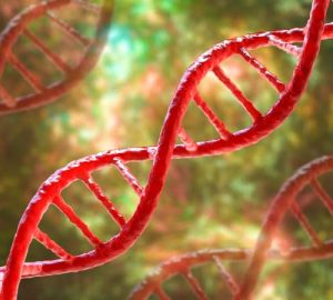 segnali e cure della sindrome di Turner