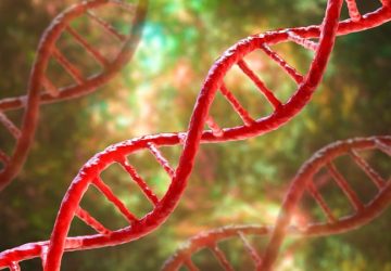 segnali e cure della sindrome di Turner